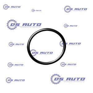 DSG 02Е OIL COOLER CASE O-Ring