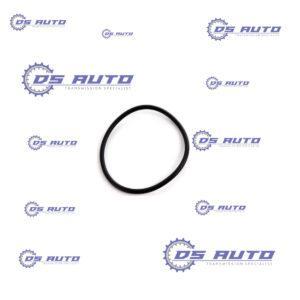 O RING KIT FILTER CANISTER (DSG) OEM