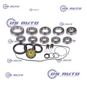 0AM/DQ200 Bearing & Seal Kit